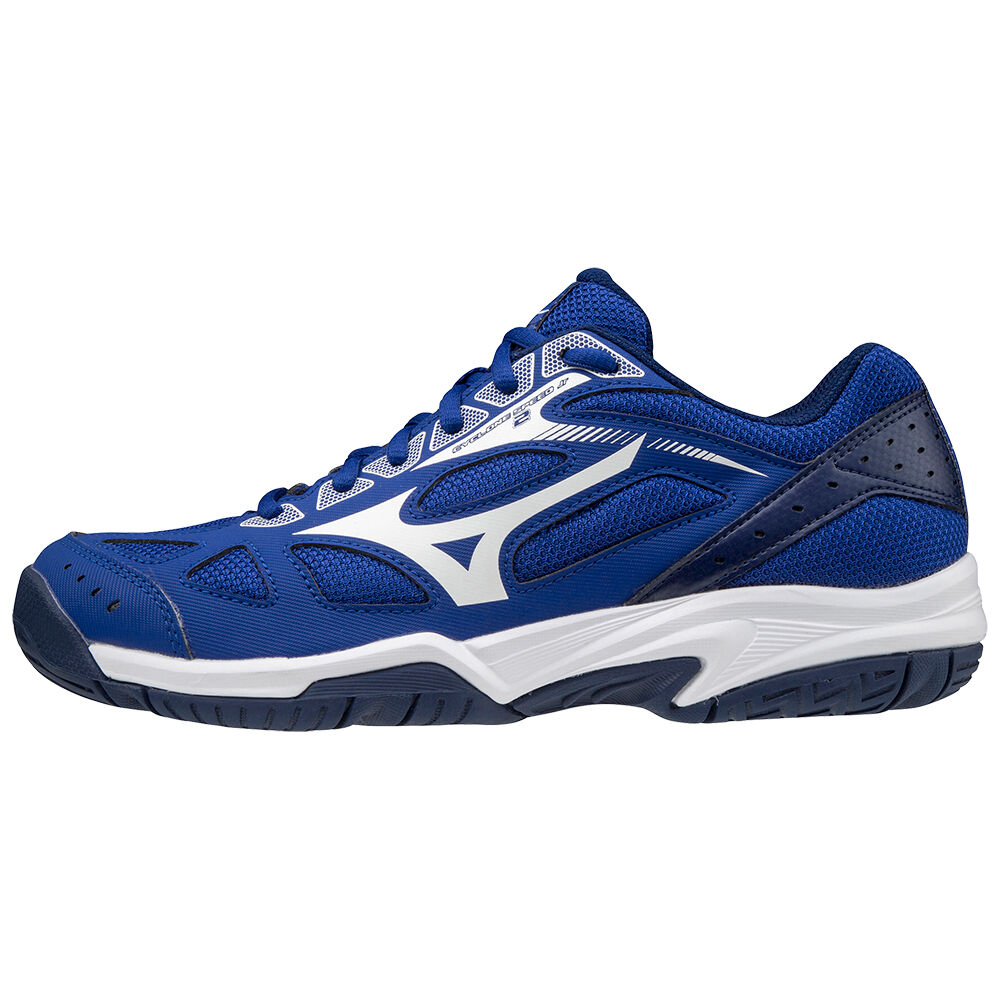 Mens Mizuno Cyclone Speed 2 Volleyball Shoes Blue/White Philippines (BGNZCD853)